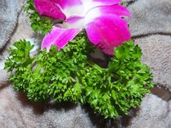 -小龙坎火锅(世纪城店)