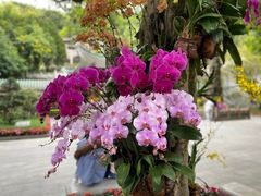 -广州市白云山风景名胜区