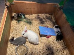 -酷嗒动物文化乐园(cutezoo西溪乐天城店)