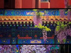 -北京国子监胡同