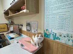 -瑞派宠物医院·24h·骨外科·皮肤科·全科宠物医疗转诊中心(沈阳浑南院)