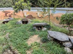 -杭州少年儿童公园