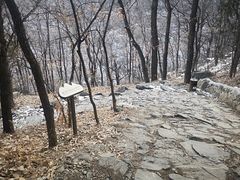 -阳台山自然风景区