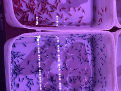 -华声天桥民俗文化园