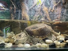 -梦幻海洋王国(吾悦广场张家港店)