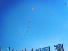 -八仙过海景区
