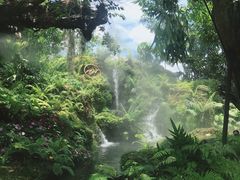 -Chom Cafe and Restaurant