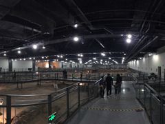 -南越王博物院(王宫展区)