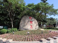 -野狸岛