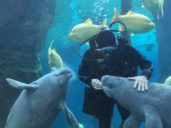 -广东省拱北口岸中国旅行社(华宾营业部)