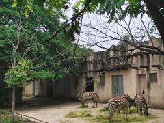 -南昌动物园