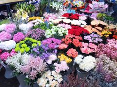 -双季花艺园艺市场(浦东店)