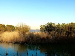 -上海吴淞炮台湾国家湿地公园