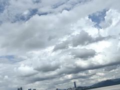 -深圳湾公园(南山区)
