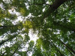 -南京金牛湖风景区