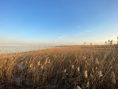 -上海吴淞炮台湾国家湿地公园