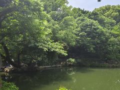 -惠山古镇·寄畅园