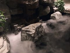 -家的味道餐厅·新鲜实惠
