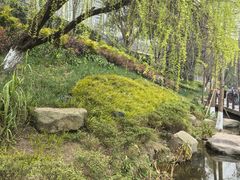 -重庆彩云湖湿地公园