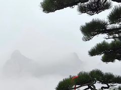 -华山风景名胜区