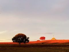 -五角枫生态旅游景区