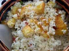 -姚记抚仙湖野生菌石锅鱼庄