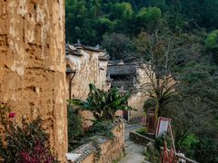 -杨家堂村