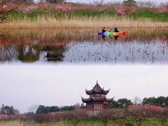 -上海海湾国家森林公园
