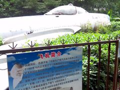 -伯先公园