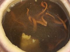 -同仁四季椰子鸡(海岸城天利店)
