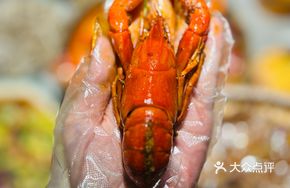 Australian Little Blue Lobster