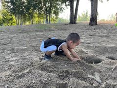 -东郊湿地公园