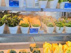 -海底捞大排档火锅(打浦路店)