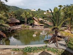 -海南槟榔谷黎苗文化旅游区