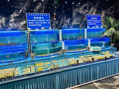 -海友荟•鲸彩(济宁爱琴海店)