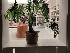 -二酉书店TOYOU BOOKS