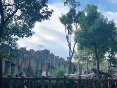 -上海野生动物园