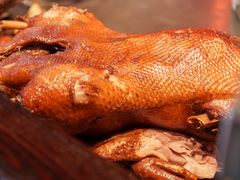 -春梅里卤鹅馆·47年老字号(中山路店)