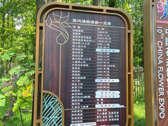 -东平国家森林公园