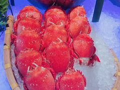 -Social 秀西餐厅-长沙瑞吉酒店(运达店)