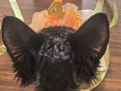 -姆们M Sweetie Cake(三里屯店)