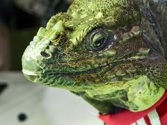 -金蚁康•经络调理•肩颈按摩(三山街店)