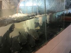 -湄公河秘制烤鱼(西双十贰城商业中心店)