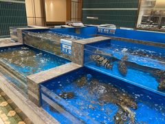 -帝皇海海鲜豆捞(桐泾商务广场店)