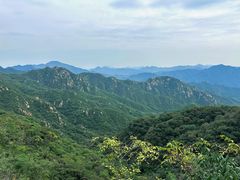 -大岭沟猕猴桃谷风景区