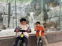 -南昌动物园