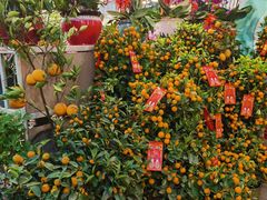-双季花艺园艺市场(浦东店)