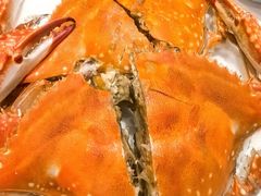 -北塘海鲜·天津菜(大光明桥旗舰店)