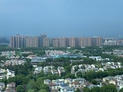 -上海浦东康桥绿地假日酒店