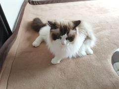 -零纪元VR体验馆·桌游(黄浦店)